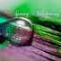 Relaxing Sounds Spring Music House