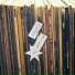 Switchfoot