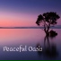 Sleep Oasis