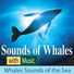 Robbins Island Music Group