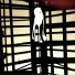 Aniimal
