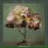 Sandro Cavazza, Brother Leo