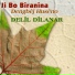 Delîl Dîlanar