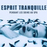 Ensemble de Musique Zen Relaxante