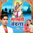 Anu Dubey, Ravi Raj