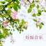小寶寶音樂