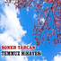 Soner Tarcan