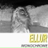 Ellur