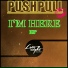 Pushpull