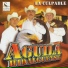 Aguila Hidalguense