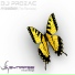DJ Prozac