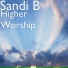 Sandi B