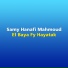 Samy Hanafi Mahmoud