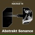 Abstrakt Sonance, Wevaman