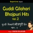 Guddi Gilahari
