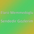 Elariz Memmedoglu