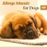 Music for Dogs Collective