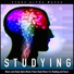 Study Alpha Waves