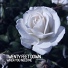 mixed by Dj WILYAMDELOVE