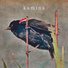 kamina