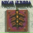 Bizkar hezurra