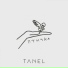 TANEL