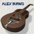 Alex Burns