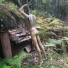 Top Cat