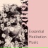 Essential Meditation