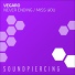 Vegaro - Never Ending (Original Mix)