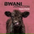 Bwani Junction
