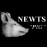 Newts