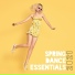 Dance Hits 2014, Ibiza Dance Party