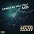 Little Ziggy