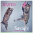 Basto