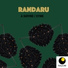 Randaru