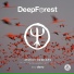 Deep Forest Onuka