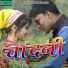 Man Joshi