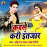 Dharmendra Raj Yadav, Rekha Ragini
