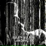 Ellen Allien