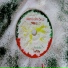 Radiare