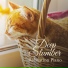 Piano Cats, Mikito Nakatani