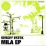 Sergey Estek