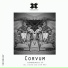 Corvum