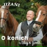 Jižani