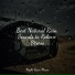 Musique Zen Garden, Loopable Rain, Thunder Storm