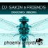 DJ Sakin & Friends