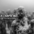 A. Molin