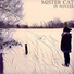 Mister Cat