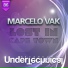Marcelo Vak